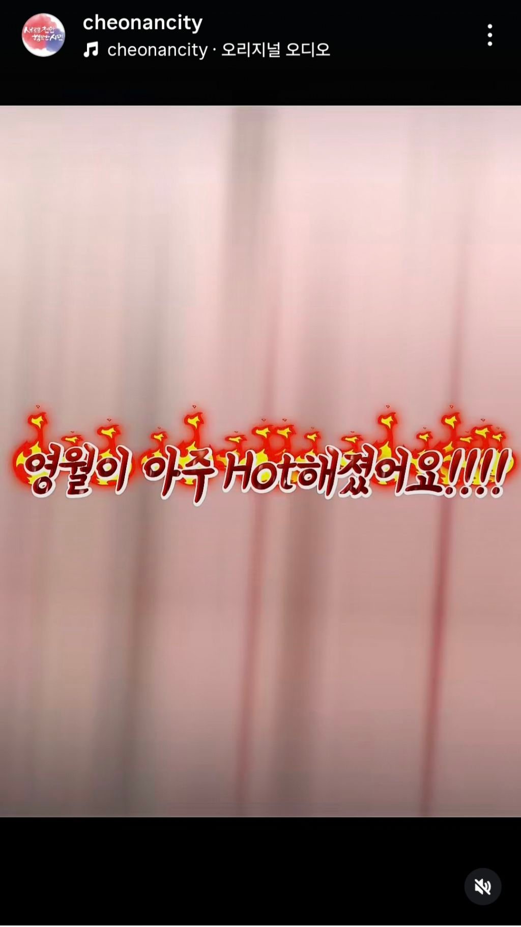 [ 왕사남 흥행 열풍에 어떻게든 숟가락 얹는 지자체들 | 인스티즈