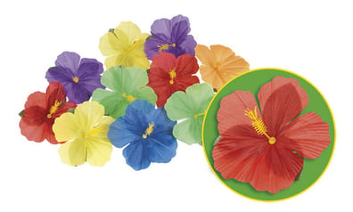 Hawaii Blomster