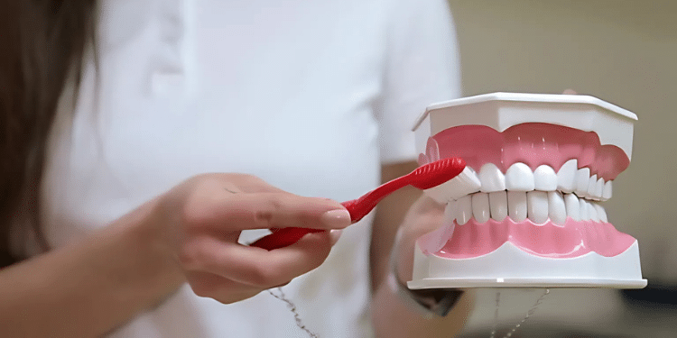 Correct brushing technique with soft bristled brush