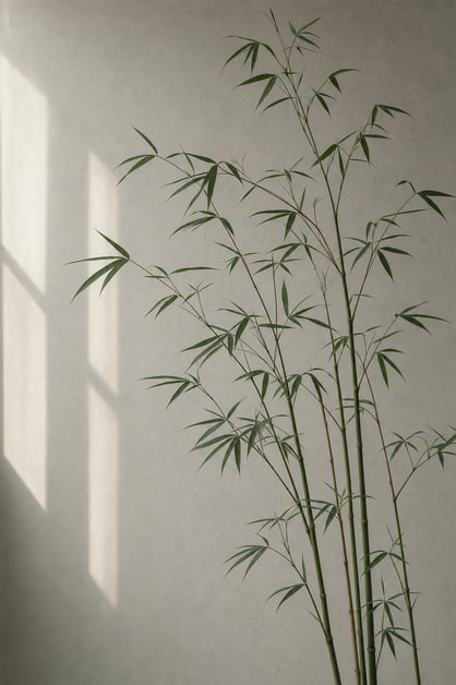 A tall slender bamboo plant in front of a pale wall, photographed in soft daylight.