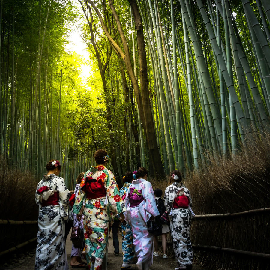 Elementary School Teachers Trip — 1