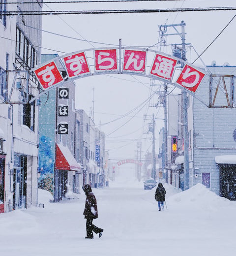 Hokkaido in White: A 7-Day Winter Escape — 3