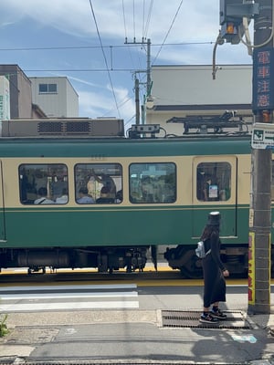 IMG_2041.jpeg