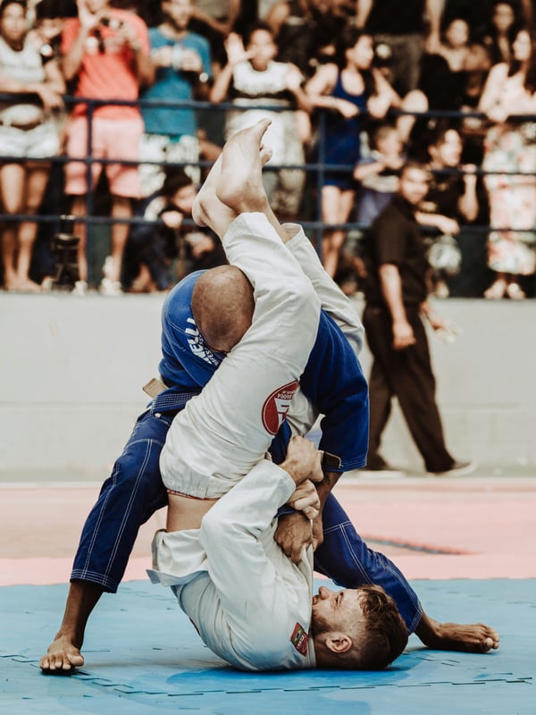 Martial Arts Trip to Japan
