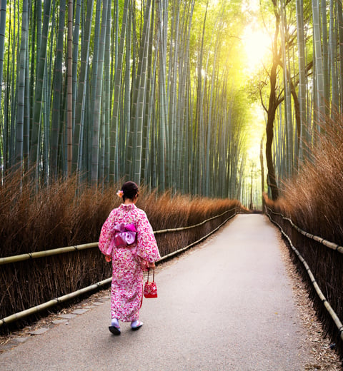 14 days in Tokyo, Kyoto, Osaka, Hakone — 2