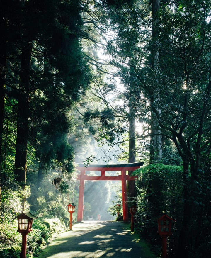 Trip photo