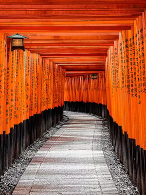 1703567474-red-torii-gates-in-fushimi-inari-shrine.jpg