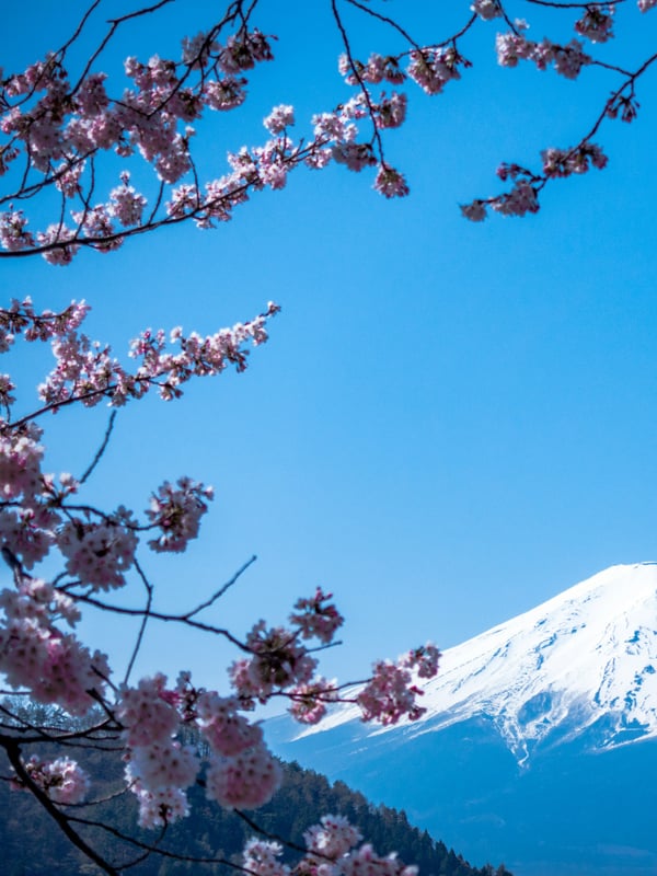 Pri's Perfect Slow Tokyo Trip