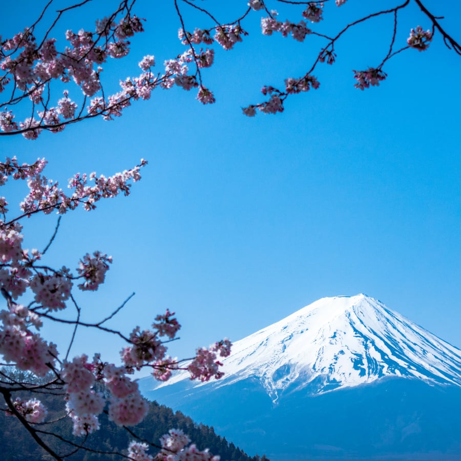 Priの完璧なゆったり東京旅 — 1
