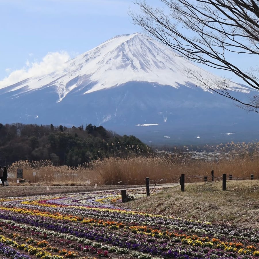 Viaje por carretera de 7 días por Japón: el monte Fuji y los Alpes Japoneses — 1