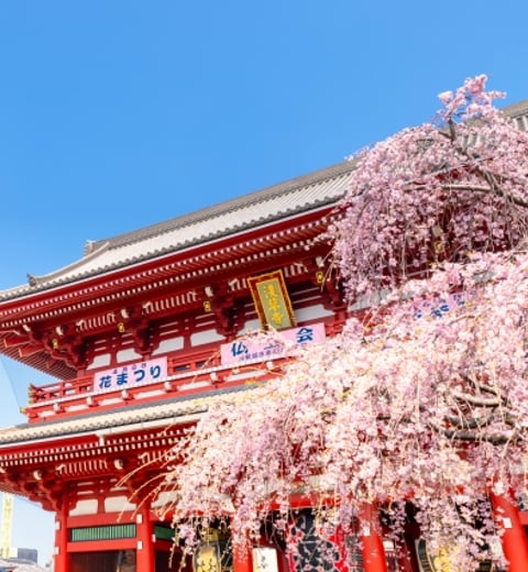 The Ultimate 8-Day Japan Route: Tokyo to Osaka — 3