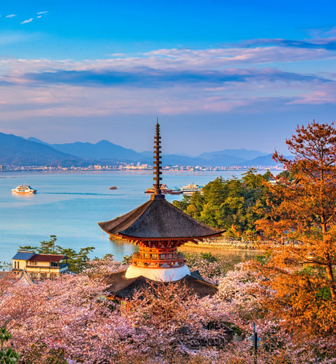 A 9-Day Japan Adventure: Osaka, Hiroshima, and Fukuoka — 4