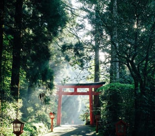 10-day Golden Route - Tokyo, Hakone, Kyoto and Osaka