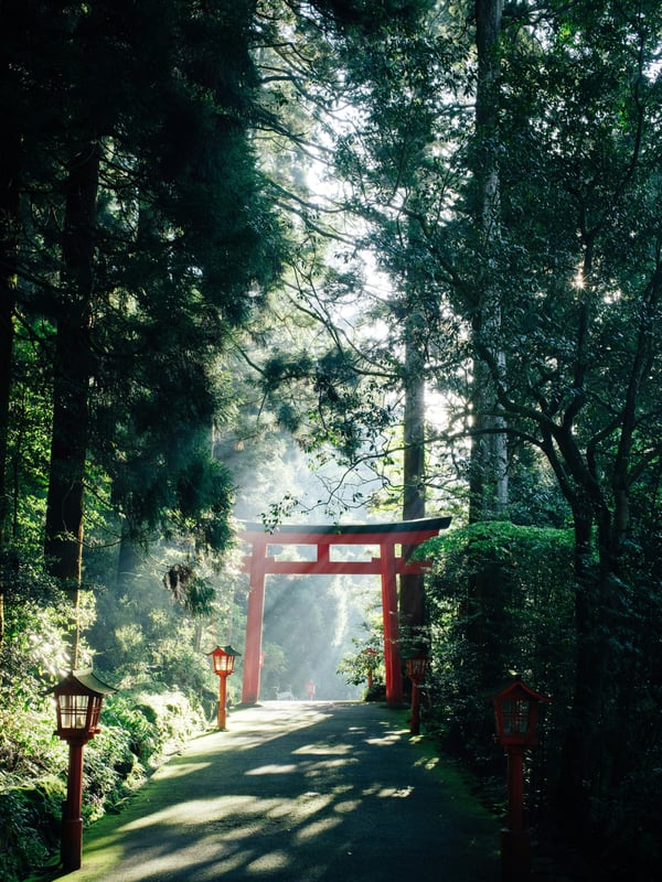 10-day Golden Route - Tokyo, Hakone, Kyoto and Osaka