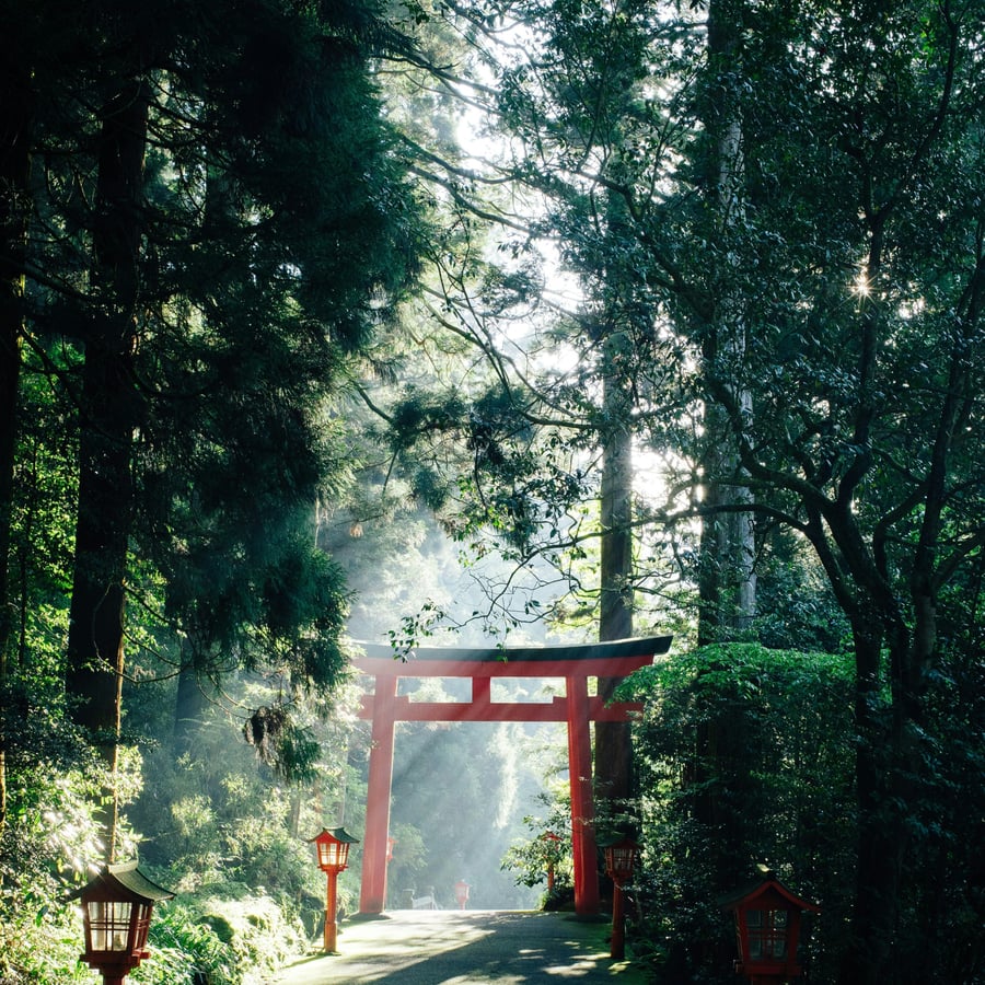 10-day Golden Route - Tokyo, Hakone, Kyoto and Osaka — 1