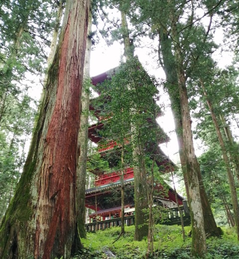 The Tokyo Radius — 4