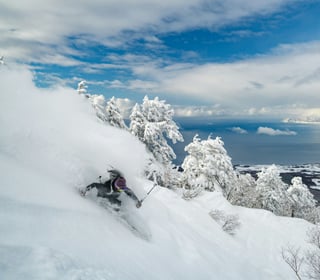 Japow: Niseko Ski Adventure