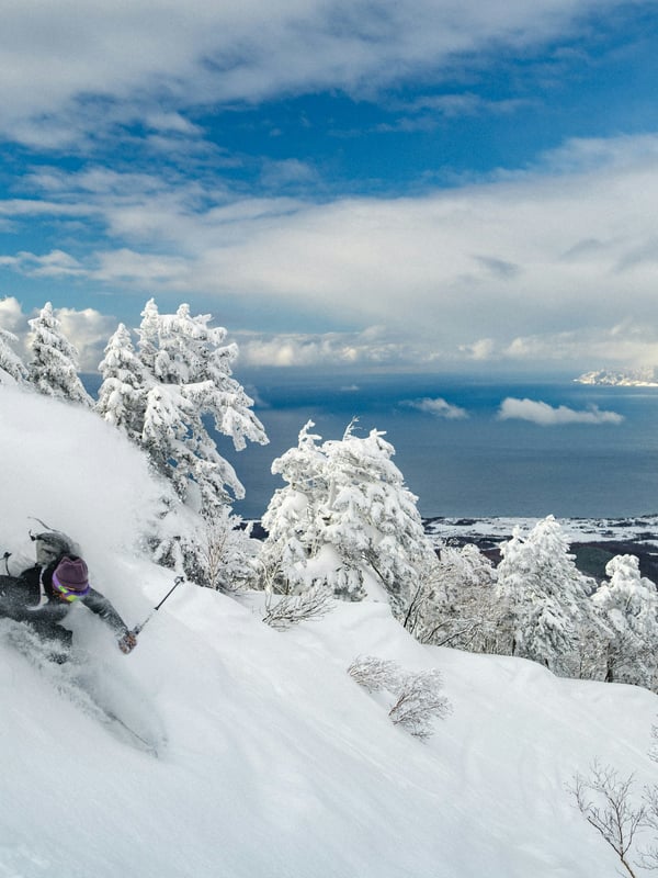 Japow: Niseko Ski Adventure