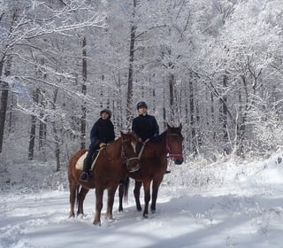 A Storybook Winter: Karuizawa & Hakuba