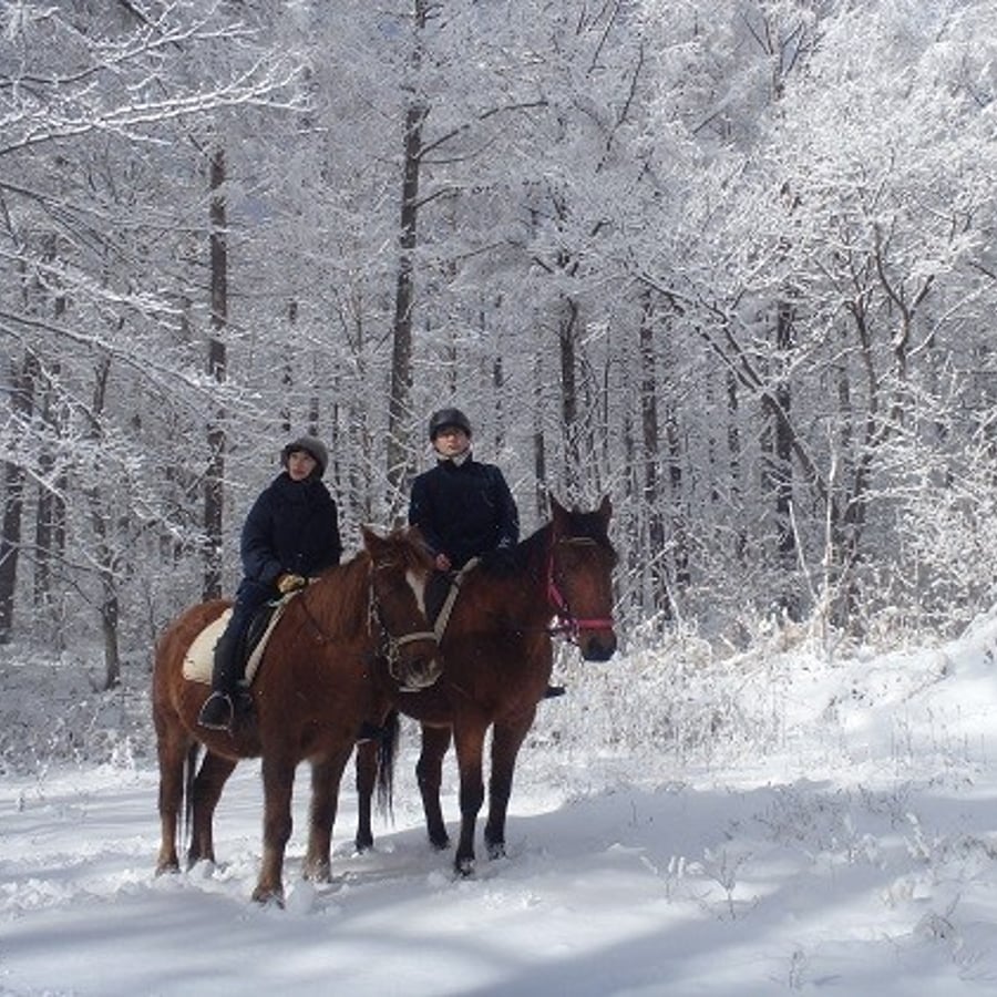 A Storybook Winter: Karuizawa & Hakuba — 1