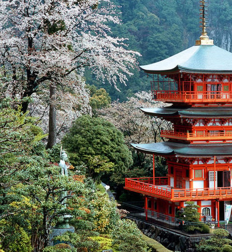 El viaje definitivo de 14 días por Japón: Tokio, Hakone, Kioto y Osaka — 4