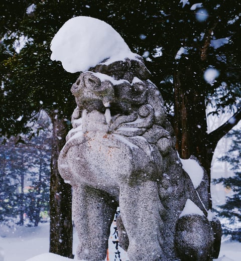 Hokkaido in White: A 7-Day Winter Escape — 2