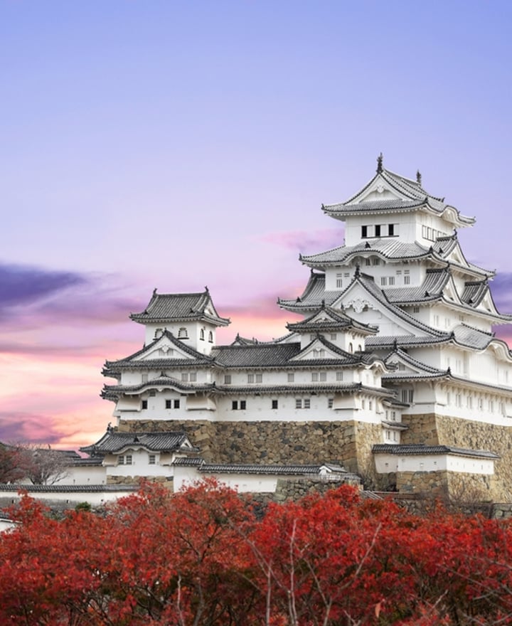 Winter Adventure in Japan
