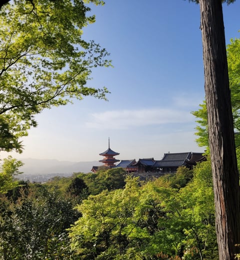 Viaje a Osaka y Kioto que hasta un principiante total puede hacer con éxito — 2