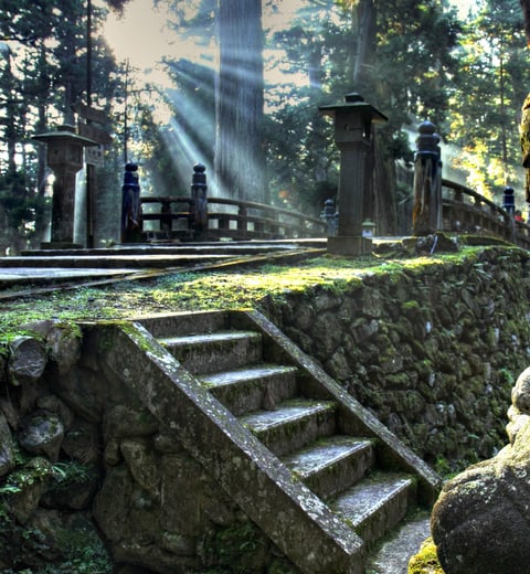 7 days: Tokyo and Kyoto — 4