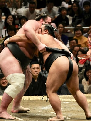 Sumo.jpg