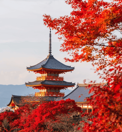 Vatnshofið Kiyomizu-dera í Kýótó - Dagur 7