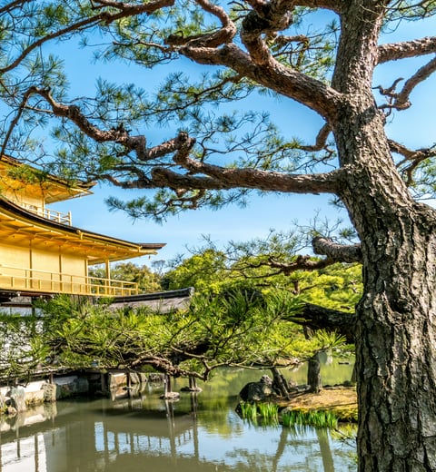 Elementary School Teachers Trip — 3
