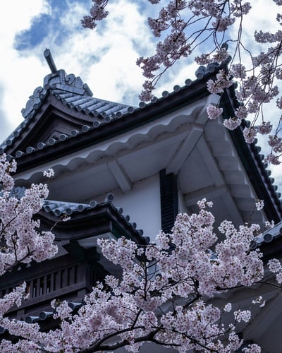 15 days in Tokyo, Kanazawa, Takayama, Kyoto, Hiroshima