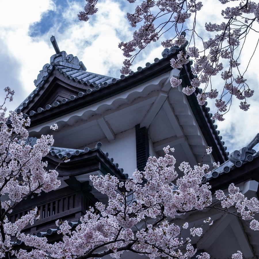 15 days in Tokyo, Kanazawa, Takayama, Kyoto, Hiroshima — 1