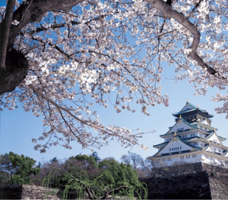 ⛩️ 大阪初心者脱出: 核心動線ガイド