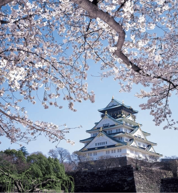 旅行写真
