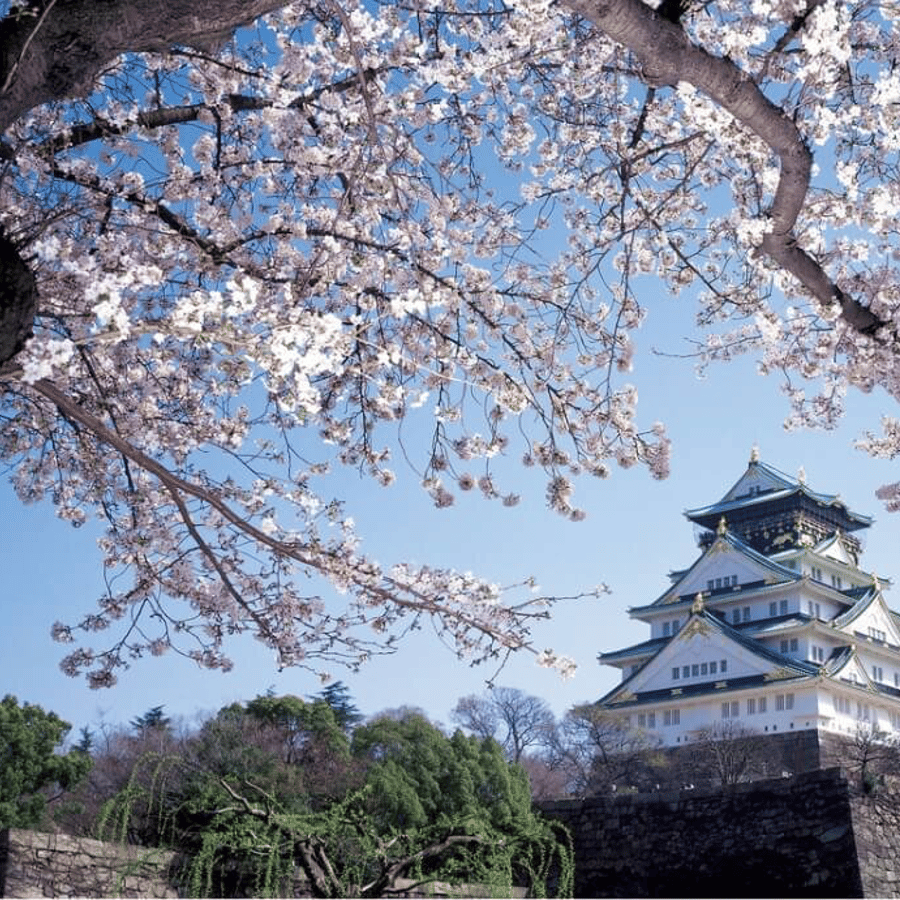 ⛩️ 오사카 초보 탈출: 핵심 동선 가이드 — 1