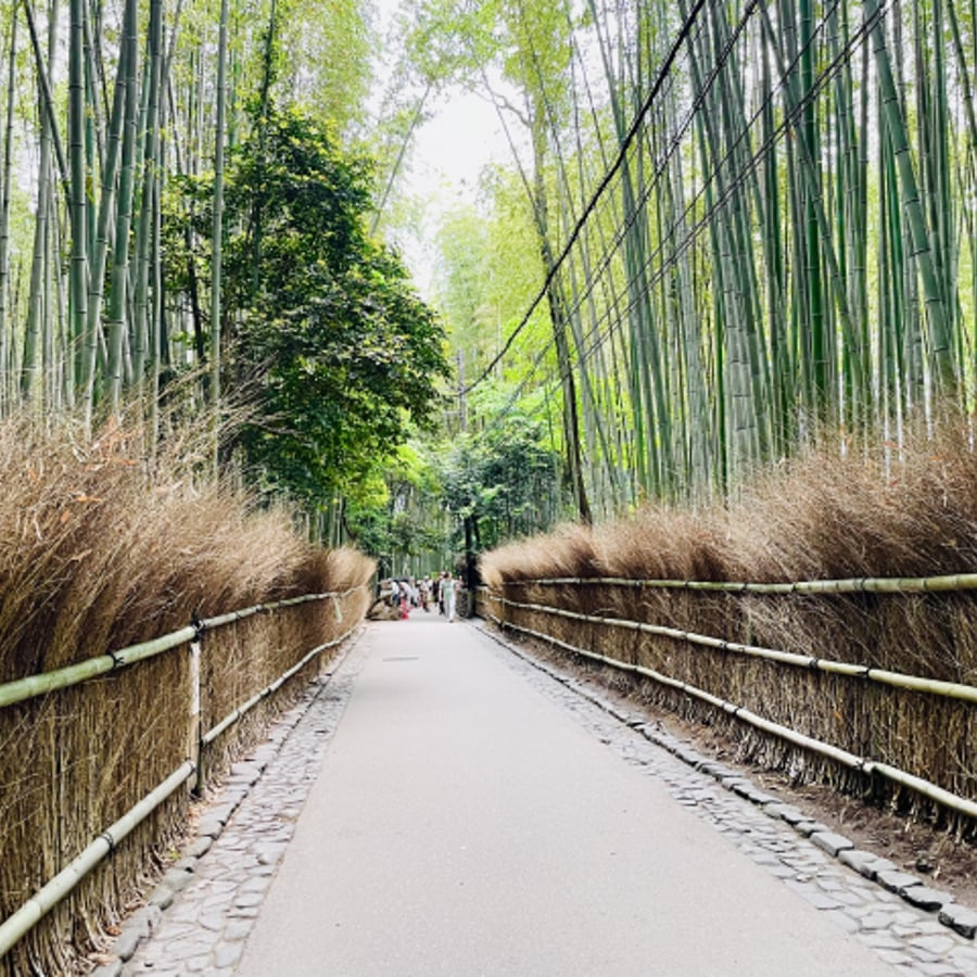 The Ultimate 8-Day Japan Route: Tokyo to Osaka — 1