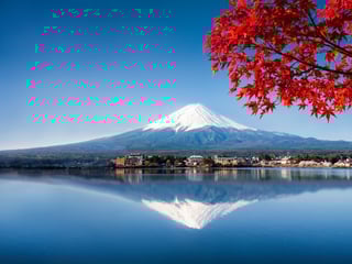 10-day Golden Route - Tokyo, Hakone, Kyoto and Osaka 3