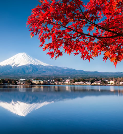 10-day Golden Route - Tokyo, Hakone, Kyoto and Osaka — 3