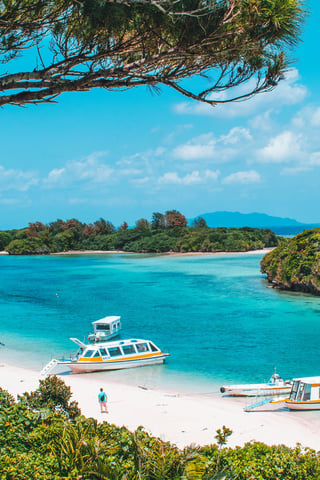 15 days in Tokyo, Kyoto and Okinawa