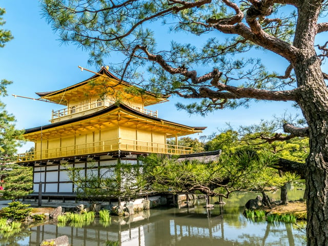 Kinkaku-ji in Kyoto - Day 13