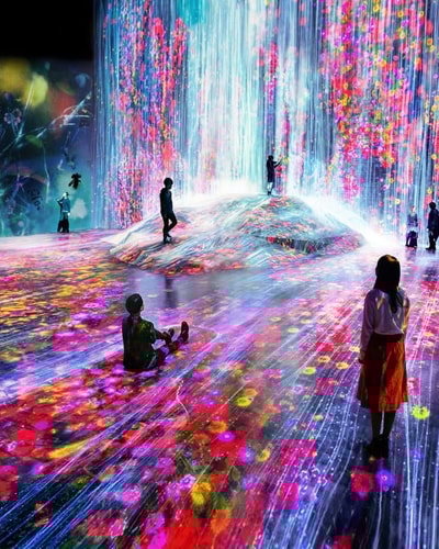 Ultimate 14 Day Japan Journey: Tokyo, Hakone, Kyoto & Osaka