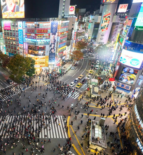 2-week trip to Tokyo, Kyoto, Osaka, Naoshima — 4