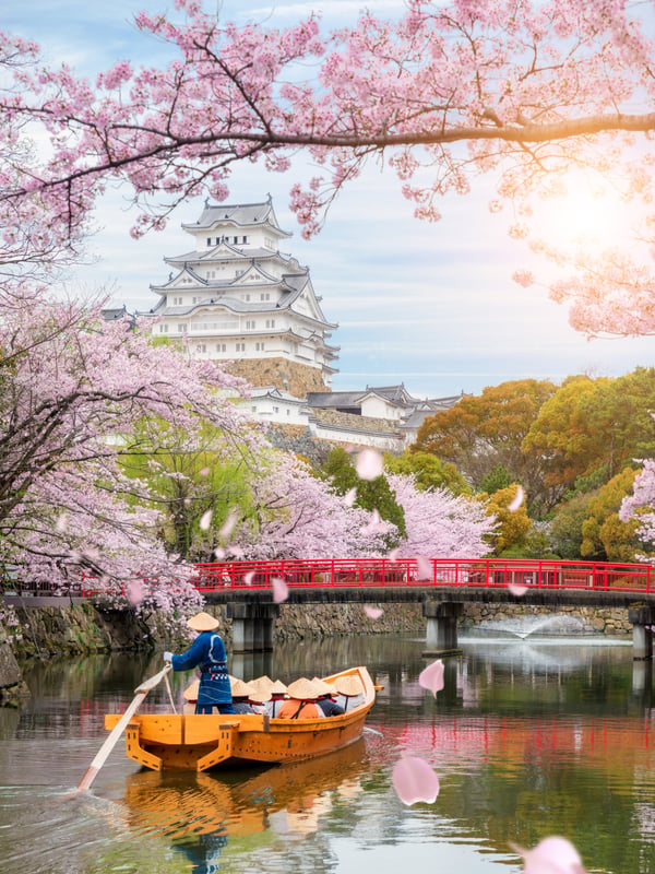 12 Day "Maximum Culture" Japan Itinerary