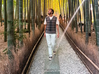 From Neon Streets to Quiet Shrines: One Month in Japan