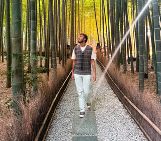 From Neon Streets to Quiet Shrines: One Month in Japan