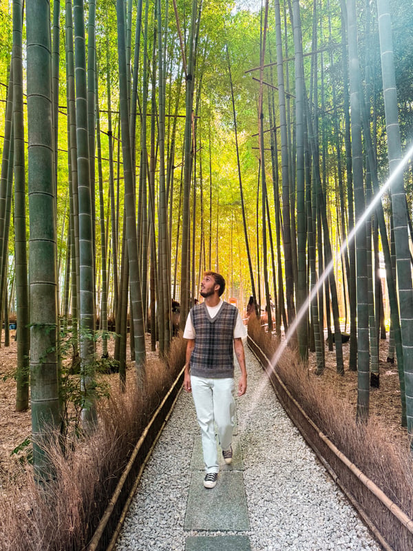 From Neon Streets to Quiet Shrines: One Month in Japan