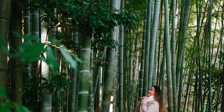  The Ultimate 10-Day Itinerary Exploring Tokyo & Beyond — 4