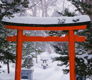 Hokkaido in White: A 7-Day Winter Escape